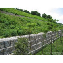 PVC Coated Gabion Box for Civil Engineering